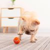 Jouet pour chien interactif et balle amusant Jouets pour chien et chat Doggy & Co 17