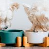 Gamelle pour chien en céramique Accessoires Doggy & Co 37