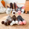 Peluche pour chien sonore et avec corde Jouets pour Chiens Doggy & Co 13