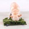 Tapis de fouille carré Jouets pour Chiens Doggy & Co 13