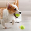 Lanceur de Balle pour chien Jouets pour chien et chat Doggy & Co 21