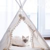 Tipi pour chien et chat Chats Doggy & Co 21