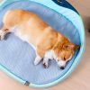 Tapis rafraichissant chien relaxant Coussins pour chien Doggy & Co 13 Tapis rafraichissant chien relaxant Coussins pour chien Doggy & Co 13
