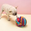 Balle de fouille pour chien Chiens Doggy & Co 9