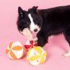 Jeu intelligence chien balle Chiens Doggy & Co 17 Jeu intelligence chien balle Chiens Doggy & Co 17