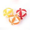 Jeu intelligence chien balle Chiens Doggy & Co 27 Jeu intelligence chien balle Chiens Doggy & Co 27