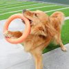 Jeu d’occupation chien Chiens Doggy & Co 11 Jeu d’occupation chien Chiens Doggy & Co 11