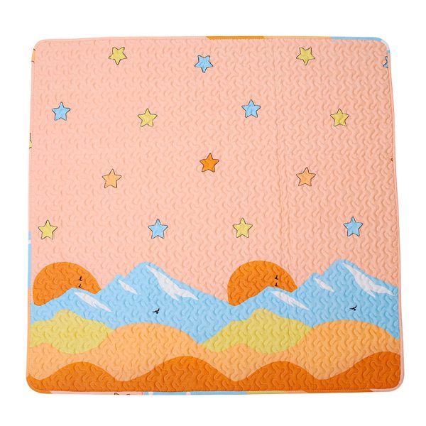 Tapis Pour Chien SaponinTree Lot De 2 Tapis De Dressage Pour Chiots, Réutilisable Tapis Tapis Ultra Absorbant Chien